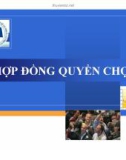 Thuyết trình tài chính doanh nghiệp: Hợp đồng quyền chọn