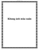 Khung ảnh mùa xuân