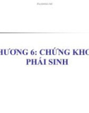 Bài giảng Thị trường chứng khoán: Chương 6 - Ths. Nguyễn Thị Ngọc Lan