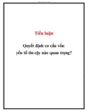 Tiểu luận: Quyết định cơ cấu vốn: yếu tố tin cậy nào quan trọng?