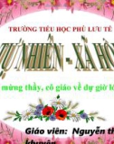 Giáo án Tự nhiên - Xã hội lớp 1 - Bài 20: An toàn trên đường đi học - Nguyễn Thị Khuyên (Tiểu học Phù Lưu Tế)