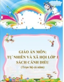 Giáo án môn Tự nhiên và xã hội lớp 1 sách Cánh Diều (Trọn bộ cả năm)