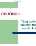 Bài giảng Kinh tế phát triển 2: Chương 1 - Phan Tiến Ngọc