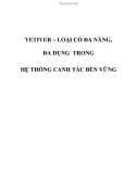 VETIVER – LOẠI CỎ ĐA NĂNG, ĐA DỤNG TRONG HỆ THỐNG CANH TÁC BỀN VỮNG