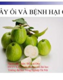 CÂY Ổi VÀ BỆNH HẠI ỔI