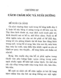 Kỹ thuật Vườn nhà: Phần 2