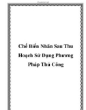 Chế Biến Nhãn Sau Thu Hoạch Sử Dụng Phương Pháp Thủ Công