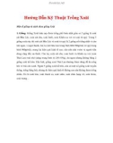 Hướng Dẫn Kỹ Thuật Trồng Xoài