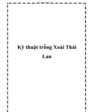 Kỹ thuật trồng Xoài Thái Lan