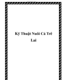 Kỹ Thuật Nuôi Cá Trê Lai