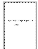 Kỹ Thuật Chọn Ngón Gà Chọi