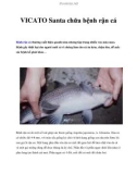 VICATO Santa chữa bệnh rận cá