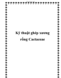 Kỹ thuật ghép xương rồng Cactaceae