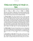 Ghép mai những kỹ thuật cơ bản