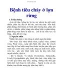 Bệnh tiêu chảy ở lợn rừng