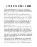 Bệnh tiêu chảy ở chó