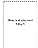 Thông tin về giống lúa lai 3 dòng N