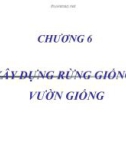 Chương 6: Xây dựng rùng giống vườn giống