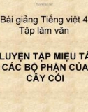 Bài Tập làm văn: Luyện tập tả các bộ phận của cây - Bài giảng điện tử Tiếng việt 4 - GV.N.Phương Hà