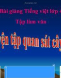 Bài Tập làm văn: Luyện tập quan sát cây cối - Bài giảng điện tử Tiếng việt 4 - GV.N.Phương Hà