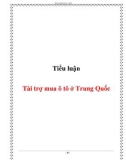 Tiểu luận: Tài trợ mua ô tô ở Trung Quốc