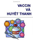 VACCIN VÀ HUYẾT THANH