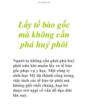 Lấy tế bào gốc mà không cần phá huỷ phôi