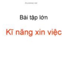 Bài tập lớn: Kĩ năng xin việc