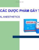 Các dược phẩm gây tê