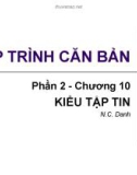 Bài giảng Lập trình căn bản - Chương 10: Kiểu tập tin