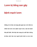 Lươn bị tiếng oan gây bệnh mạch lươn