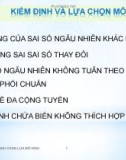 Bài giảng Kinh tế lượng: Chương 5 - Kiểm định và lựa chọn mô hình (29 trang)