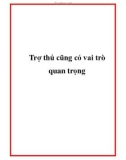 Trợ thủ cũng có vai trò quan trọng