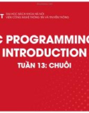 Bài giảng C Programming introduction: Tuần 13 - Chuỗi