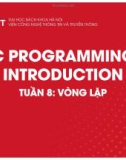 Bài giảng C Programming introduction: Tuần 8 - Vòng lặp (tt)