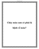 Chảy máu cam có phải là bệnh về máu?