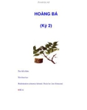 HOÀNG BÁ (Kỳ 2)