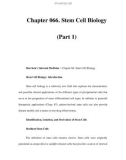 Chapter 066. Stem Cell Biology (Part 1)