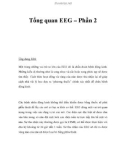 Tổng quan EEG – Phần 2