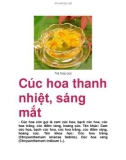 Cúc hoa thanh nhiệt, sáng mắt