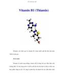 Vitamin B1 (Thiamin)