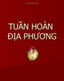 Bài giảng: Tuần hoàn địa phương