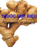 Bài giảng Thuốc giải biểu