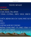 Bài giảng Thuốc bổ khí