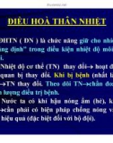 Bài giảng Điều hòa thân nhiệt (53tr)