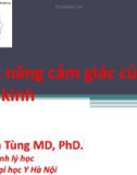 Bài giảng Chức năng cảm giác của hệ thần kinh - Lê Đình Tùng