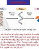 Bài giảng Khoa học tự nhiên lớp 9 - Bài 39: Quá trình tái bản, phiên mã và dịch mã (CTST)