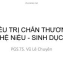 Bài giảng Điều trị chấn thương hệ niệu-sinh dục