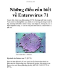 Những điều cần biết về Enterovirus 71