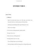 ENTERO VIRUS